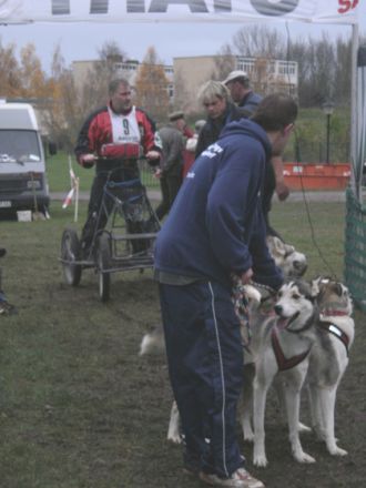 Schlittenhunderennen in Halle-Dieskau