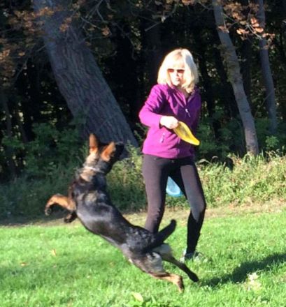 Spiel und Spaß für Hunde