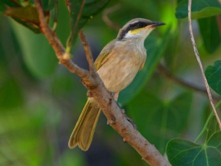 Tierfotografie - Tipps und Tricks, damit schöne Tierfotos gelingen (Teil 1)