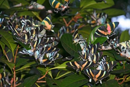 Tierfotografie - Tipps und Tricks, damit schöne Tierfotos gelingen (Teil 2)