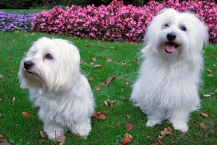 Tierfotografie - Tipps und Tricks, damit schöne Tierfotos gelingen (Teil 2)