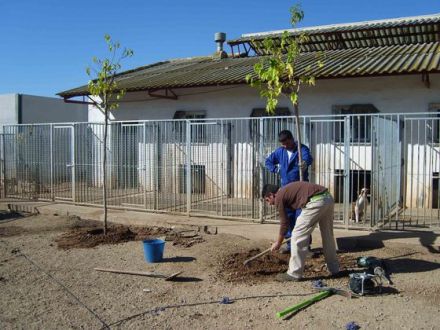 Tierschutz-Hunde aus Spanien