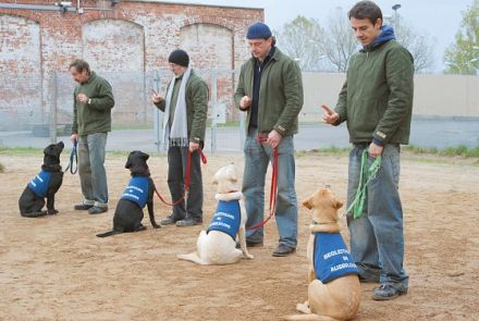 "Underdogs" im Kino - Snautz.de verlost Freikarten