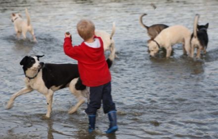 Urlaub mit Hund - auf dem Campingplatz Blütengrund in Naumburg