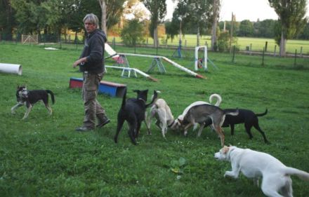 Urlaub mit Hund - auf dem Campingplatz Blütengrund in Naumburg