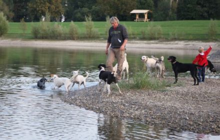Urlaub mit Hund - auf dem Campingplatz Blütengrund in Naumburg