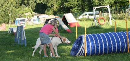 Urlaub mit Hund - auf dem Campingplatz Blütengrund in Naumburg