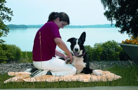 Wellness-Urlaub für Mensch und Hund in der Villa Kunterbunt