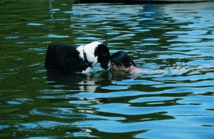 Wellness-Urlaub für Mensch und Hund in der Villa Kunterbunt