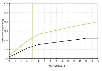 Welpenfutter: Warum Welpen eine besondere Ernährung brauchen