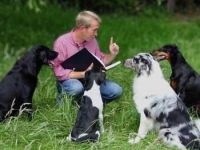 Die besondere Hundeschule - Ulv Philipper