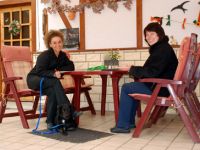 Hunde 1x1 Blog Tipps