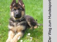 Der "virtuelle Hundeplatz" - im Ostalbkreis