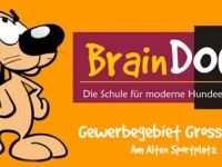 brainDOGz