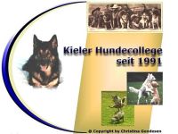 Kieler Hundecollege seit 1991