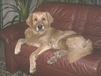 Tierpsychologin Elke Heese