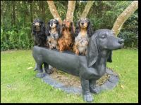 vom Siebendörfermoor FCI (DTK/VDH/FCI)