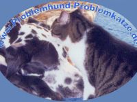 Problemhund-Problemkatze / Brandenburg