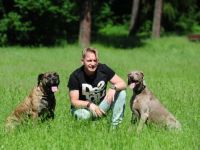 DogCoach Enrico Lombardi (Sachverständiger)