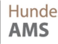 Andreas Stieb - Hundeschule AMS