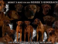von Geiger`s Ridgeback
