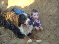 vom Hof Schierenbeck