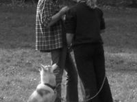 "Fair Play" Hundeschule Sondermann