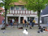 Hundeschule Assmann