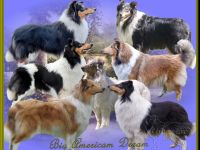 from Big American Dream