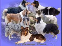 from Big American Dream