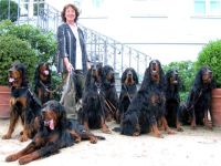 Elysa`s ... of Wickenberry