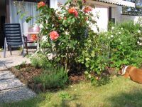 Am Sahlenburger Feld