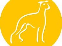 *Freude am Hund* in München Olympiapark und Pasing