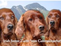 vom Gebirgsjägerhof