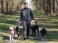 ALLERhunde Schule für Hund & Mensch