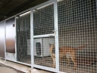 Winklers Hundepension & Hundeschule