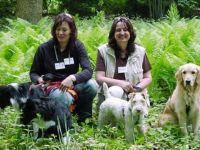 dog2me  Hundetraining