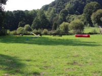 Heikes Hundetreff - Training für Mensch und Hund