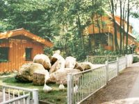 Ferienhäuser am Brocken