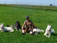 Hundeschule "Wild Bandits"