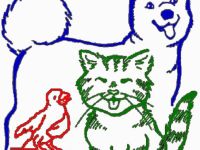 Pfötchenservice Markranstädt in Sachsen