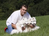 Samojeden  -  Welpen  von  Edeyomas  FCI