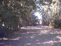 semperfidelioDOGs- Hundeschule für alle F(ä)elle