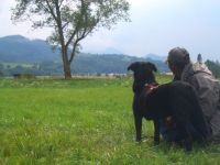 GEMEINSAM UNTERWEGS animal learn Netzwerk