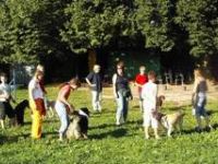 IRJGV Gruppe Gießen e.V.