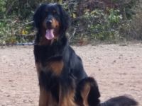 von den Wupperwiesen