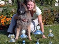 Hundeschule "Canis lupus" in Dresden