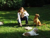 Hundekompetenz Prinz