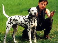 Hundeschule Steffi Vent, Cottbus