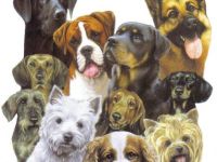 TIERPENSION "Am Niederrhein"